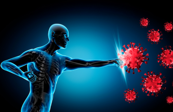 İmmun sistemi barədə 5 ən böyük mif və real tibbi həqiqətlər – Səhiyyə Nazirliyinin mütəxəssis-eksperti izah edir