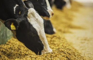 AQTA bununla bağlı fermerlərə çağırış etdi - VİDEO