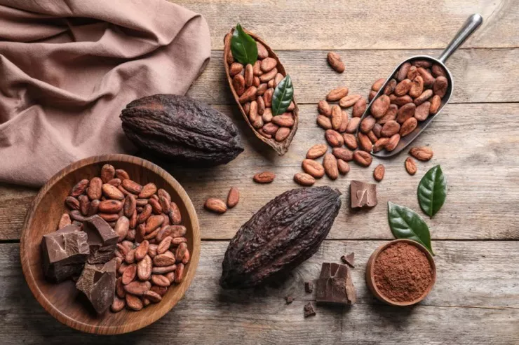 Kakaonun beynin fəaliyyətinə təsir edən gözlənilməz effekti aşkarlandı