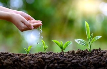 Bu gün İlaxır çərşənbədir