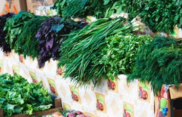 Rayonda böyük olan göyərti dəstələri Bakıya çatanda niyə yoxa çıxır? – ARAŞDIRMA – VİDEO