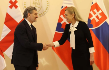 Gürcüstan Prezidenti və Slovakiyanın Baş nazirinin müavini sahəvi əməkdaşlığı müzakirə ediblər