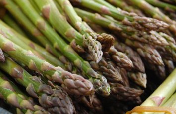 Baharda gələn şəfa - Qulançarın bilmədiyimiz 7 möcüzəvi faydası