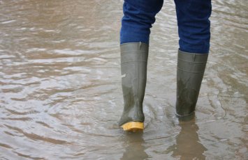 Бакинское дежавю: ливни вновь парализуют город-ВИДЕО
