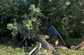 Ağac aşdı: 10 aylıq uşaq da daxil olmaqla 3 nəfər öldü