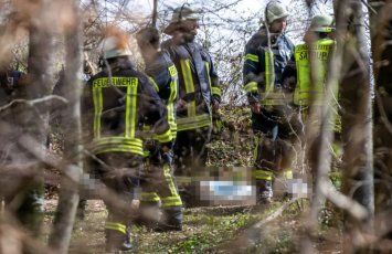 В Германии сильный ветер повалил дерево на людей, погибли три человека