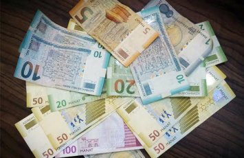 Manatın ritmi pozulur: Onun dövriyyəsi niyə yavaşlayır?