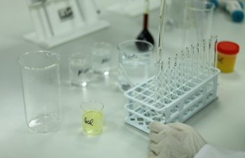 Balın təbiiliyi necə müəyyən olunur? - VİDEO