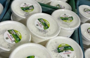 Bakıda süd məhsullarının istehsalı müəssisəsinin fəaliyyəti məhdudlaşdırılıb - FOTO