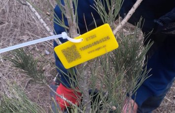 Elmi Cərrahiyyə Mərkəzi qanunsuz ağac kəsilməsi iddialarına CAVAB VERDİ - FOTO