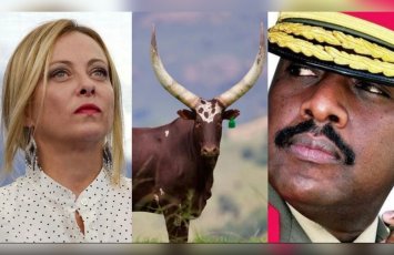 Meloniyə də evlənmək üçün 100 baş inək təklif etmişdi