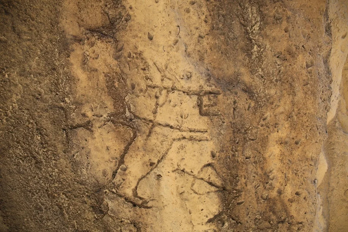 Qobustanda yeni qayaüstü təsvirlər aşkar edilib - FOTO