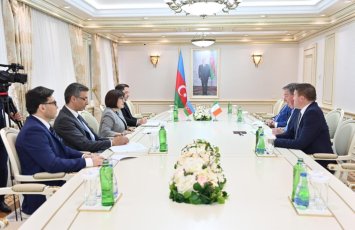 İrlandiya-Azərbaycan parlamentlərarası dostluq qrupunun üzvləri ilə görüş olub - FOTO