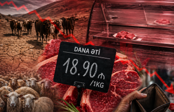 Azərbaycanda ət tapılmayacaq? - qiymətlət niyə bahalaşır – gizli səbəblər üzə çıxır