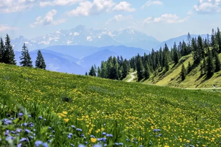 Sabah 24 dərəcə isti olacaq - PROQNOZ