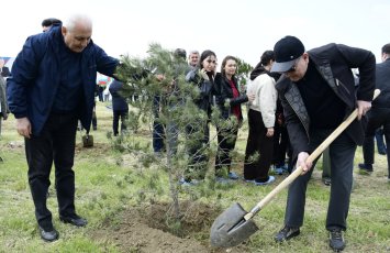 YAP Heydər Əliyevin 103 illiyi ilə əlaqədar ağacəkmə aksiyası keçirdi - FOTOLAR