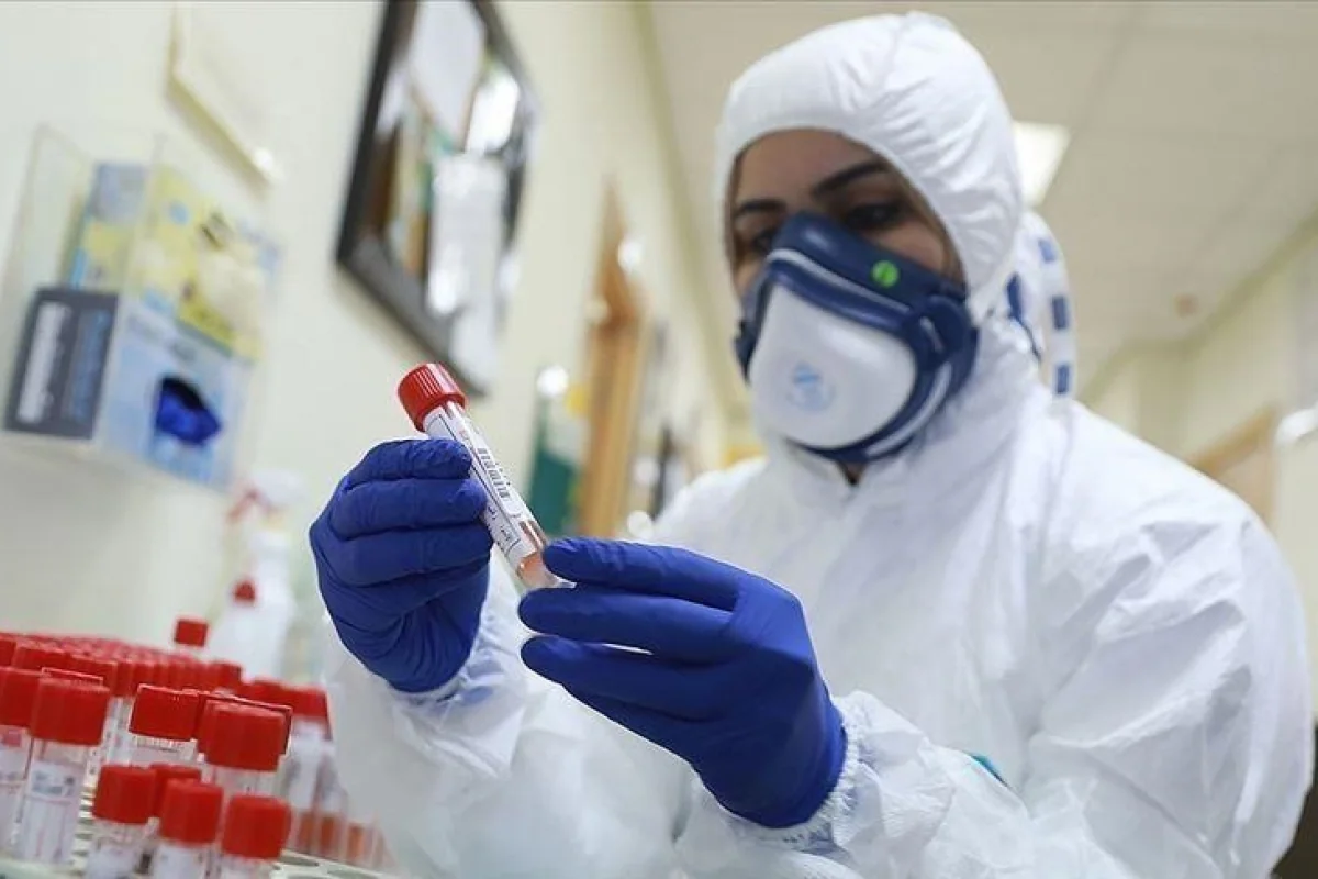 Hantavirus COVID-19-dan təhlükəlidir? – Alimdən AÇIQLAMA