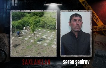 Balakəndə narkotik plantasiyası aşkarlandı - VİDEO