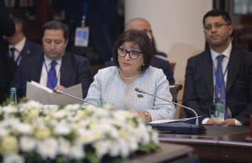 Sahibə Qafarova MDB PA-nın Şura iclasında çıxış edib - FOTO