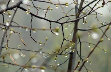Bu ərazilərdə intensiv yağır müşahidə olunur - Faktiki hava
