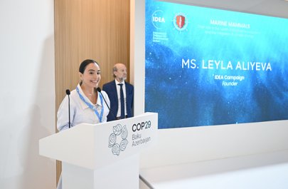 Leyla Əliyeva COP29 çərçivəsində müzakirələrdə iştirak etdi