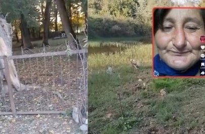 Qərənfil Seymurla evli olubmuş, ördəyi də pay veribmiş... - VİDEO