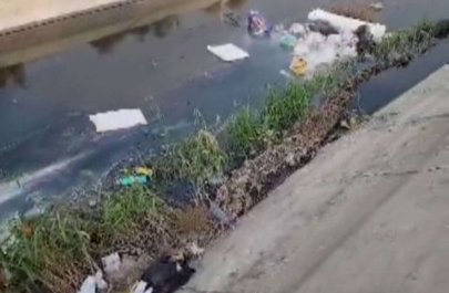 Saray bağlarında antisanitar vəziyyət – Samur-Abşeron kanalını üfunət bürüyüb – VİDEO