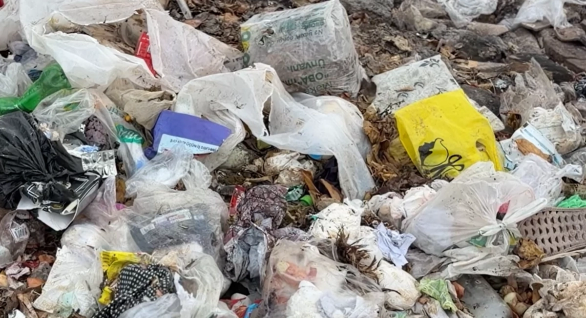 Ağsunun Natəvan küçəsində antisanitar vəziyyət hökm sürür - VİDEO