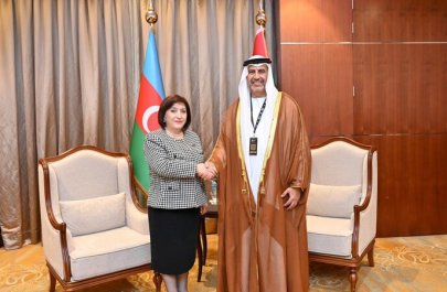 Milli Məclis sədri BƏƏ Federal Milli Şurasının sədr müavini ilə görüşdü - FOTO