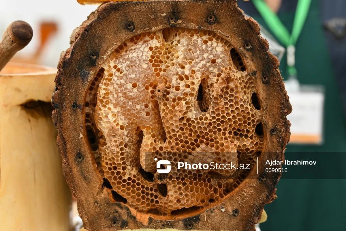 Əsl dağ balı necə hazırlanır? - Kəlbəcərli müəllim danışdı - VİDEO