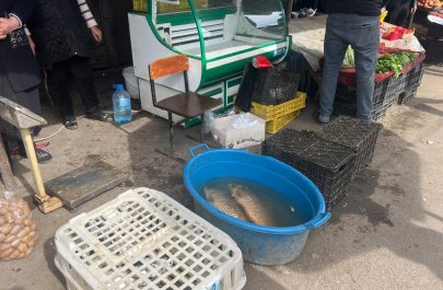 Tovuzda bazarda yoxlama keçirildi: Nöqsanlar aşkarlandı - FOTOLAR