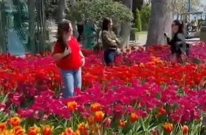 Bulvarda gülləri əzən 10 nəfər polisə çağırıldı - VİDEO