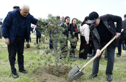 YAP Heydər Əliyevin 103 illiyi ilə əlaqədar ağacəkmə aksiyası keçirdi - FOTOLAR